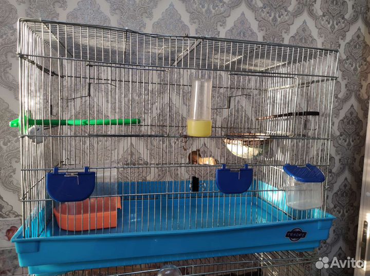 Большая клетка для птиц бу