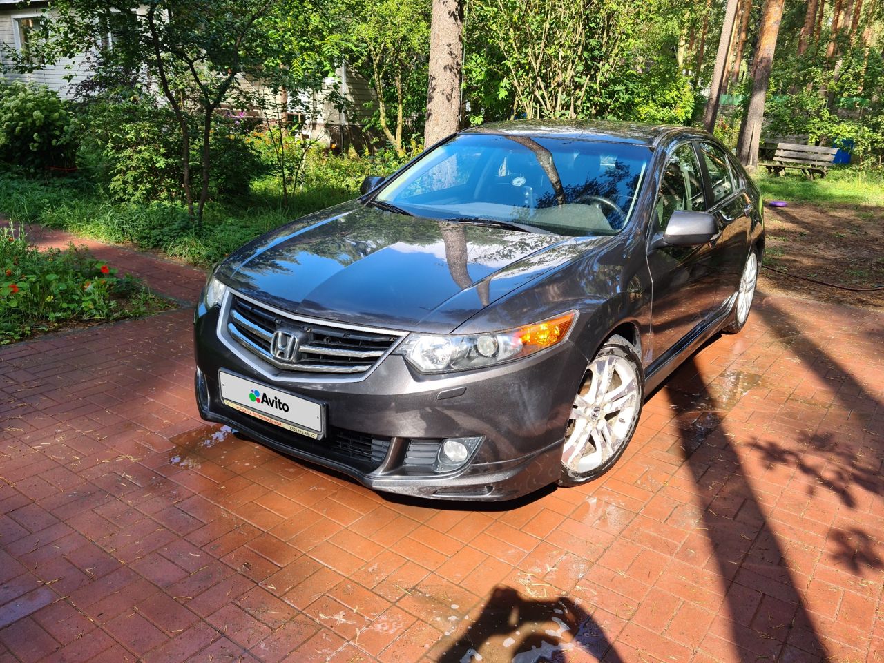 Honda Accord: фото владельца
