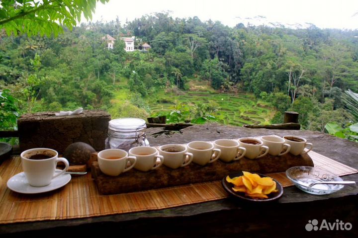 Готовый бизнес. Кофейня. Балийская Легенда