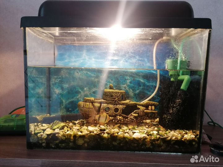 Аквариум