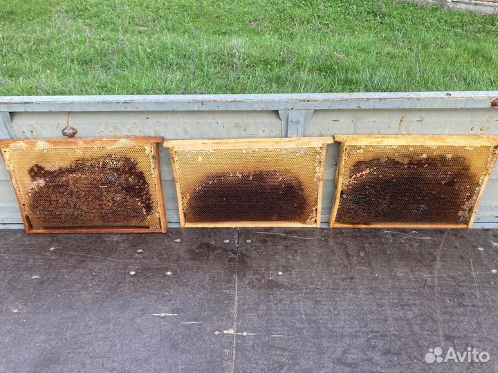 Рамки с сушью