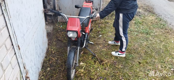 Зид пилот 50