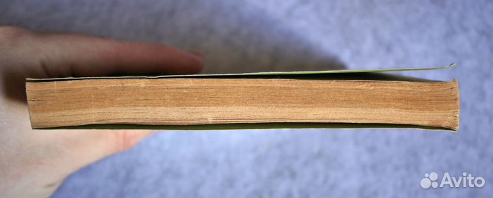 Боровик: У града Китежа