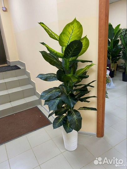 Диффенбахия Крупная цветок искусственный домой