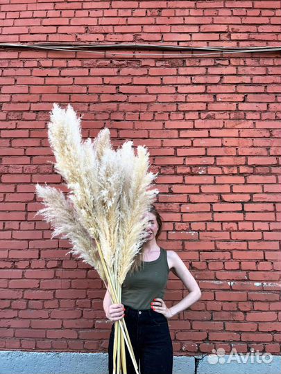 Супер-пушистая Пампасная трава