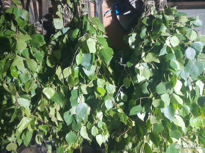 Веники для бани