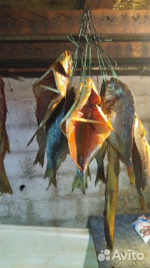 Копчение рыбы