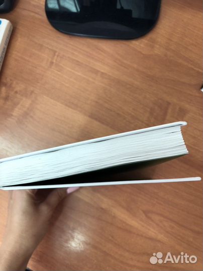 Ю Несбё «Нетопырь»