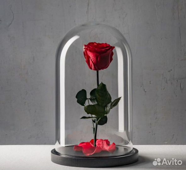 Розы в колбе