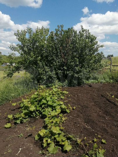 Дом 60 м² на участке 23 сот.