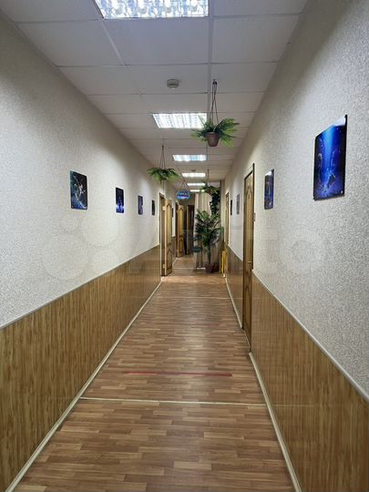 Торговая площадь, 265 м²