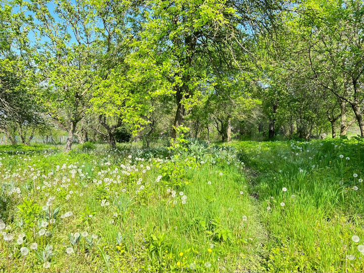 Участок 17 сот. (ИЖС)