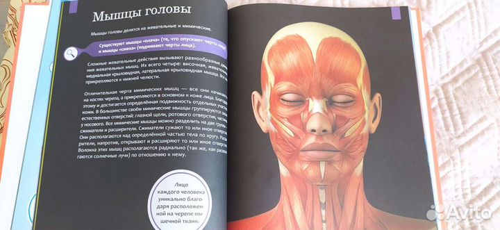 Умная энциклопедия