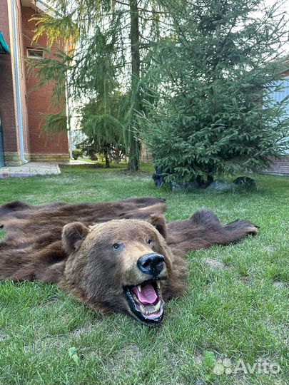 Медвежья шкура, имитация