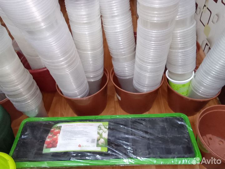 Стаканы пластиковые, горшки, кассеты