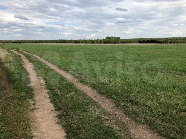 Участок 9,4 га (ИЖС)