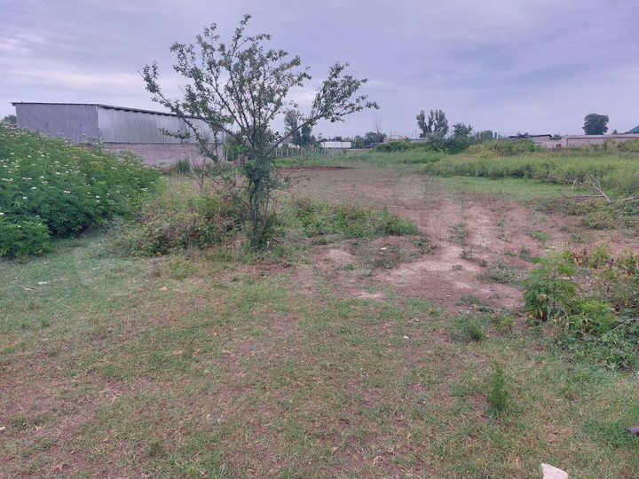 Участок 25 сот. (СНТ, ДНП)