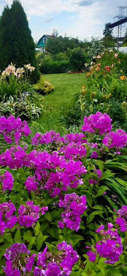 Дача 43,5 м² на участке 6 сот.