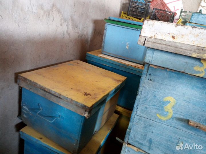 Улья дадан пчелы