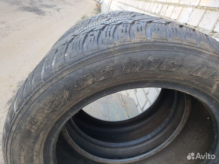 Gislaved Nord Frost 5 5/5 R6