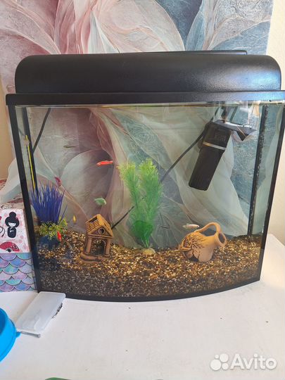 Аквариум полный комплект