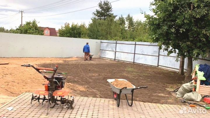 Рулонный газон