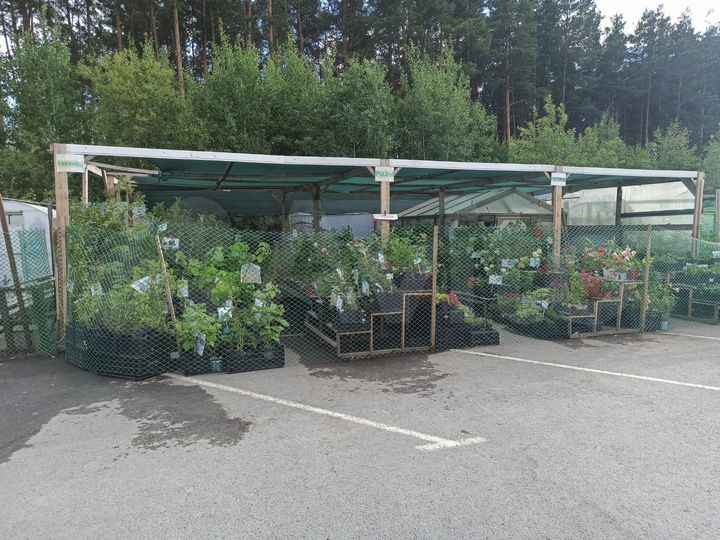 Торговая площадь, 15 м²