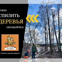 Спил деревьев, Удаление обрезка, расчистка участка