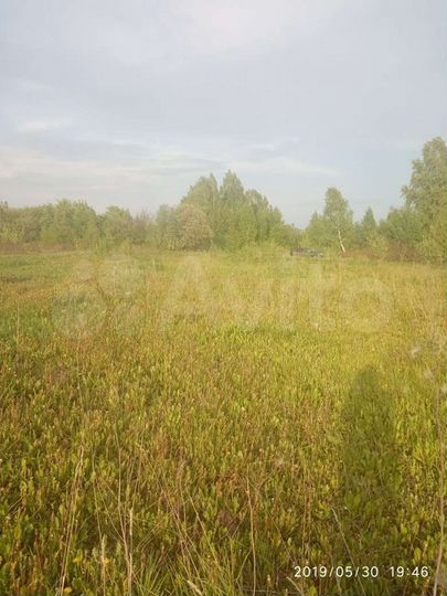 Участок 6 сот. (ИЖС)