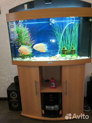 Аквариум с тумбой juwel 180л