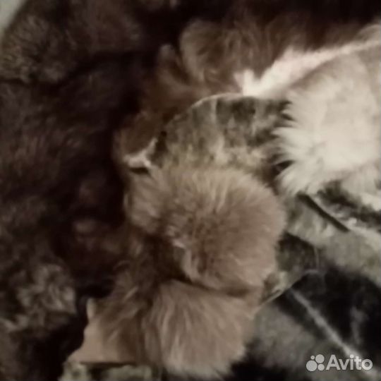 Мех на ремонт и помпоны