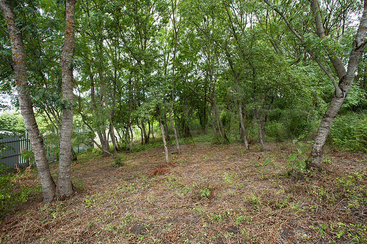 Участок 15 сот. (ИЖС)