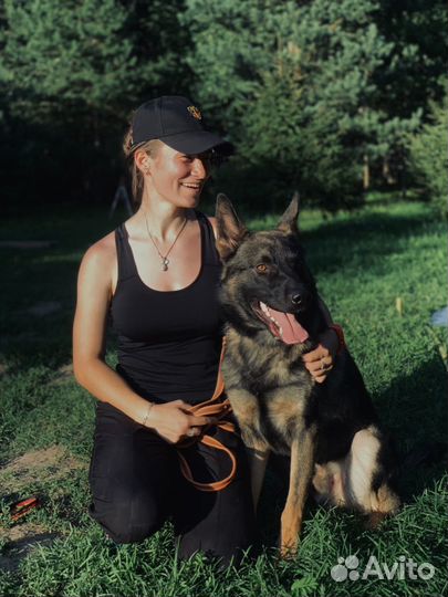 Кинолог для Вашей семьи