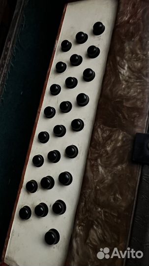 Гармонь Кубань