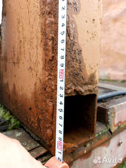 Коники лесовозные