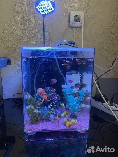 Аквариум