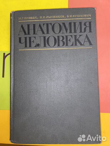 анатомия человека под редакцией М.Г.Привеса... купить в Орле | Авито