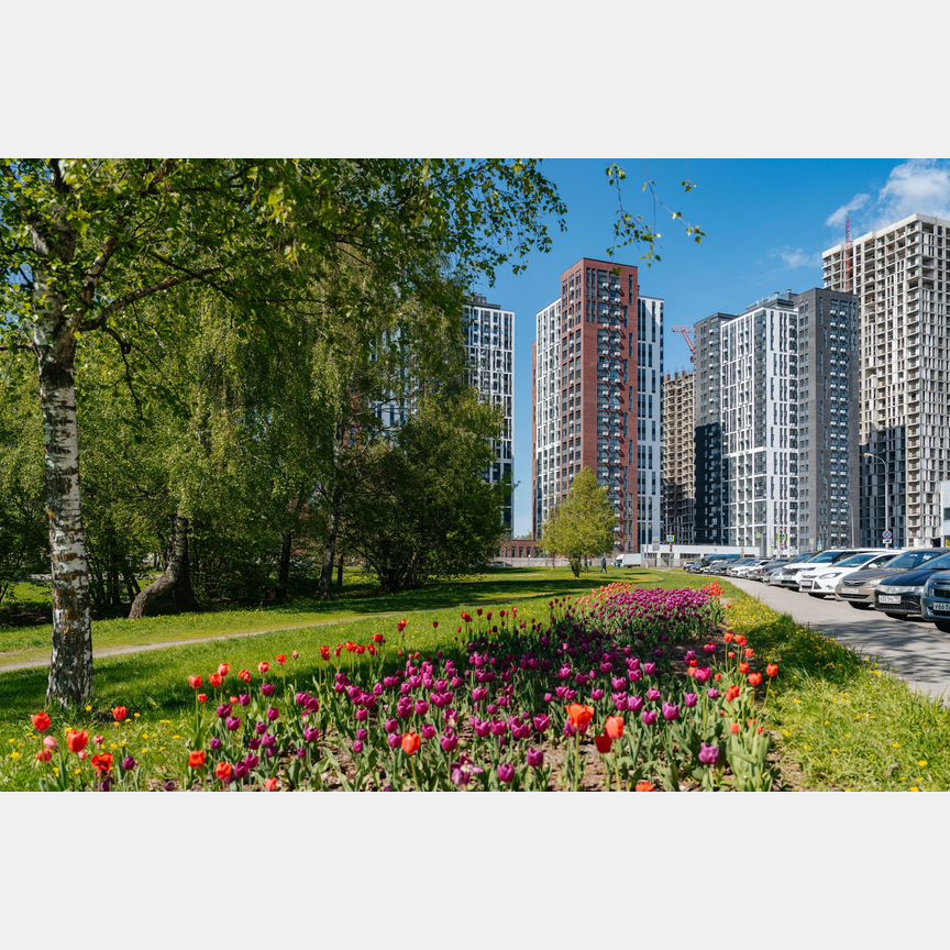 3-к. квартира, 55,8 м², 13/22 эт.