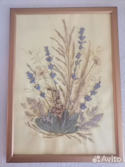 Картина-гербарий в рамке