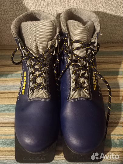 Лыжные ботинки spine