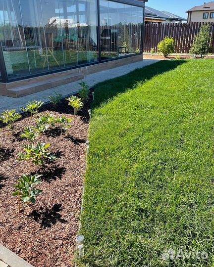 Рулонный газон/Высшее качество