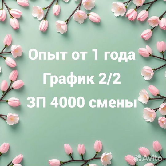Флорист в ночную смену с опытом работы