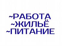 Вахта от 15 смен/ Грузчик/Проживание и Питание