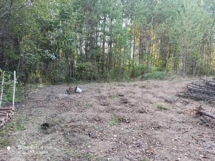 Участок 35 сот. (СНТ, ДНП)