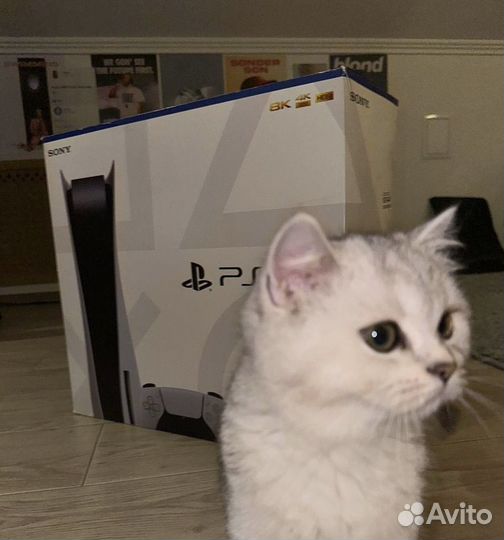 Sony PlayStation 5 / подписка Extra