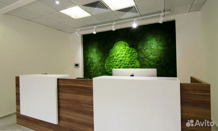 Ресепшен для бизнес-центров