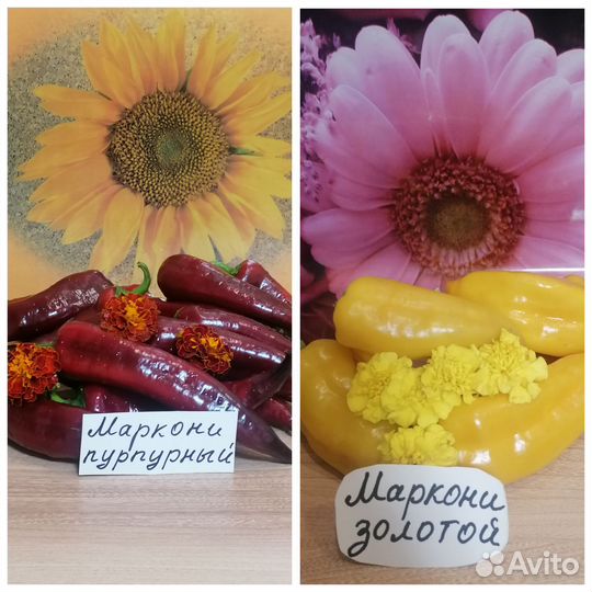 Семена сортовых перцев