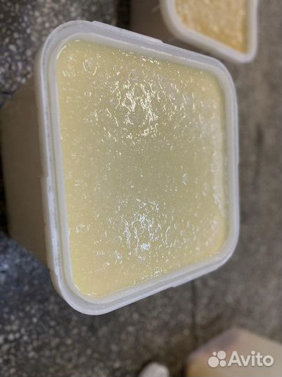 Мед липовый оптом