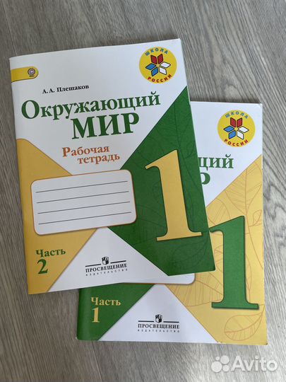 Рабочая тетрадь окружающий мир 1 класс