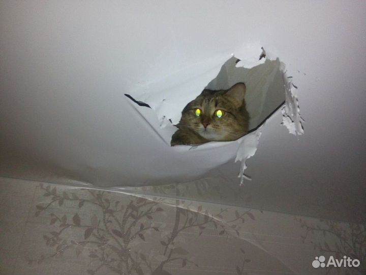 Ремонт натяжных потолков Слив воды Порезы